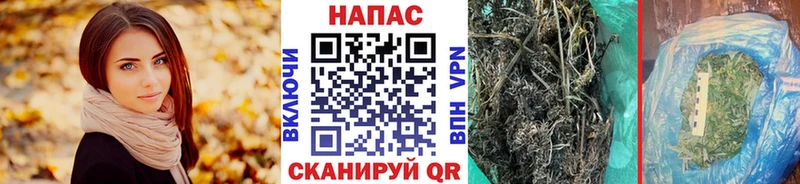 Где купить Нестеровская Метадон  А ПВП  ГАШИШ  Кокаин  МАРИХУАНА 