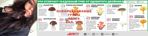 амф Нея