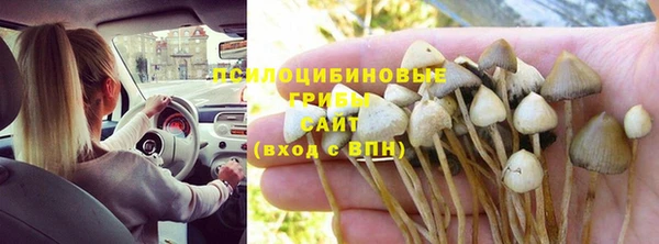 амф Михайлов