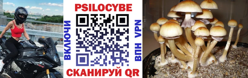 Галлюциногенные грибы мицелий  даркнет как зайти  Нестеровская 