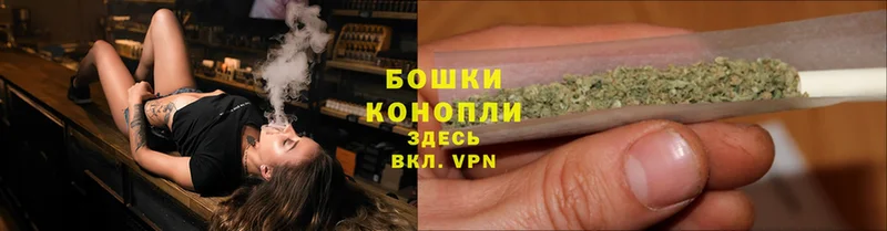 дарнет шоп  Нестеровская  Конопля SATIVA & INDICA 